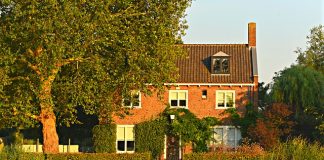 Czasopisma budowlane