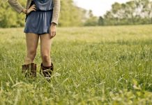 Utrzymywanie systemu przez państwo