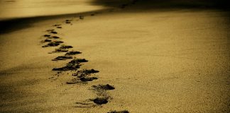 Piramidy w Gizie – jak je zwiedzać?