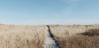 Szeroka baza noclegowa nadmorskich kurortów