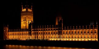 Urbanistyka a ochrona zwierząt