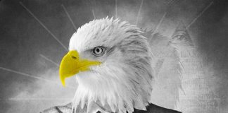 Wojny w biednych regionach