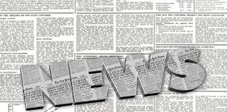 Społeczeństwo domowe