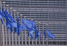 Najpopularniejsze organizacje w Polsce