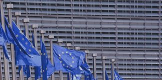 Najpopularniejsze organizacje w Polsce