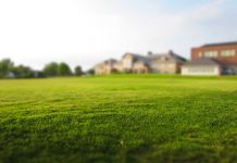 Budowanie może cieszyć