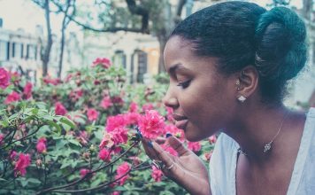 Wybór dekoracji na jesień