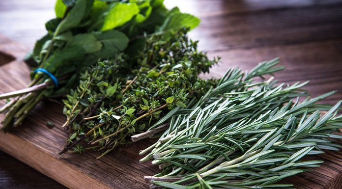 Jakie zioła uprawiać w domu