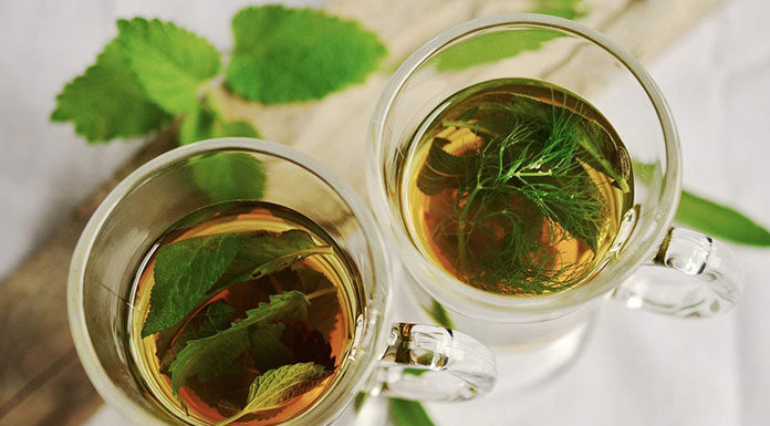 Właściwości kudzu