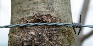 Pod jakim kątem naostrzyć łańcuch 3 8? Pod jakim kątem naostrzyć łańcuch 3 8?