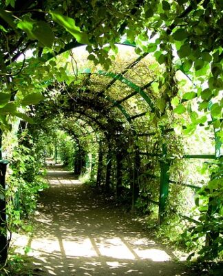 Czy Pergola chroni przed deszczem?