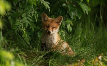 Jak długo ucierać masło z cukrem?