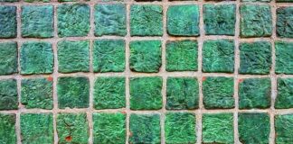 Jaki kolor płytek do przedpokoju? Jaki kolor płytek do przedpokoju?