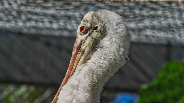 Do czego służy szpatułka? Do czego służy szpatułka?
