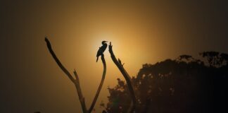 Ile kosztuje godzina pracy na dachu? Ile kosztuje godzina pracy na dachu?