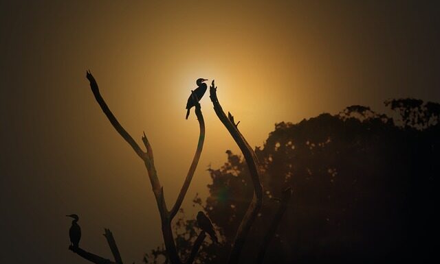 Ile kosztuje godzina pracy na dachu?