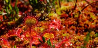 Ile łyżek to 125ml?