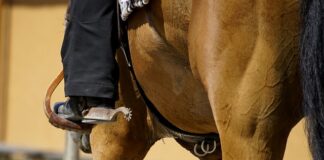 Czy trzeba zakładać łańcuchy na zakopiance?