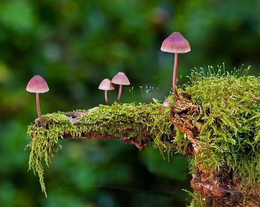 Jakie mogą być rodzaje łyżek? Jakie mogą być rodzaje łyżek?