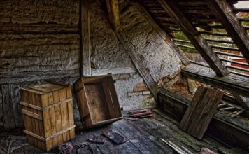 Jaki wyłaz dachowy wybrać?