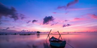 Jaki kolor markizy wybrać? Jaki kolor markizy wybrać?