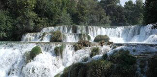 Co jest najważniejsze w łańcuchu przeżycia? Co jest najważniejsze w łańcuchu przeżycia?