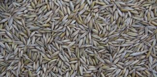 Kto produkuje pilarki Husqvarna? Kto produkuje pilarki Husqvarna?