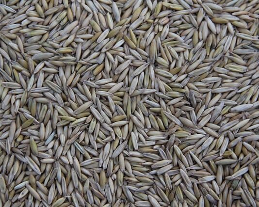 Kto produkuje pilarki Husqvarna? Kto produkuje pilarki Husqvarna?