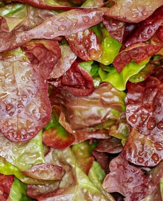 Jak poprawnie jeść sałatkę w restauracji? Jak poprawnie jeść sałatkę w restauracji?