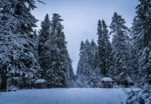 Czy budowa altany ogrodowej wymaga zgłoszenia?