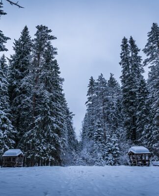 Czy budowa altany ogrodowej wymaga zgłoszenia?