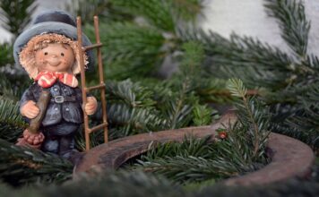 Czego nie czyści kominiarz?