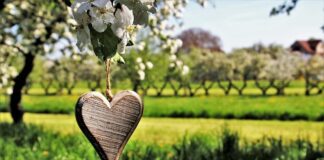 Co oznacza zawieszka łapacz snów?