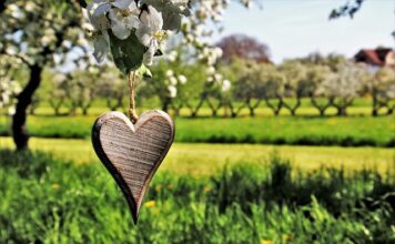 Co oznacza zawieszka łapacz snów?