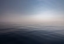 Czy na Rodos są rekiny?