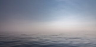 Czy na Rodos są rekiny?