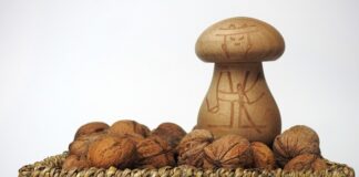 Co zrobić ze starymi orzechami włoskimi? Co zrobić ze starymi orzechami włoskimi?