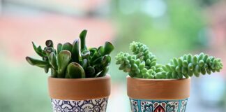 Jaki zestaw garnków do 300 zł?