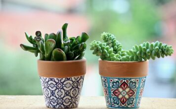 Jaki zestaw garnków do 300 zł?