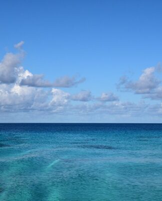 Jak zbudowana jest markiza? Jak zbudowana jest markiza?