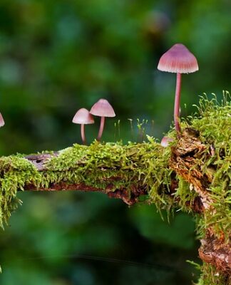 Jakie są rodzaje ładowarek?