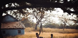 Z jakiego drzewa zrobić huśtawkę ogrodowa?