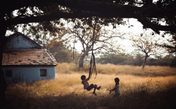 Z jakiego drzewa zrobić huśtawkę ogrodowa?
