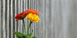 Czy ogrodzenie to element małej architektury?