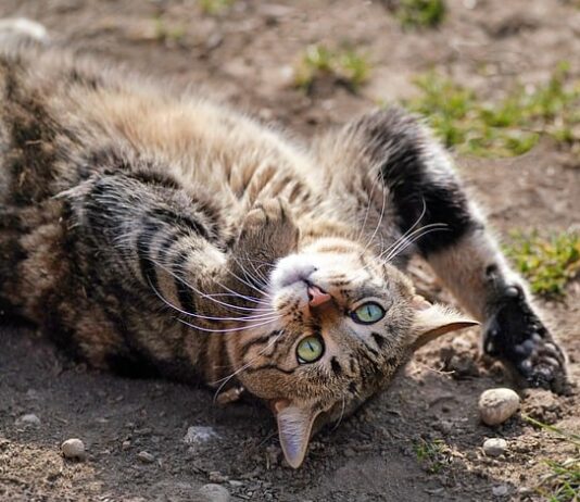 Ile kosztuje tygodniowy pobyt na Krecie?