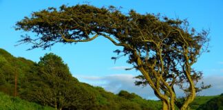 Przy jakim wietrze nie jechać samochodem? Przy jakim wietrze nie jechać samochodem?