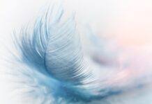 Czy wiatr 80 km h to dużo?