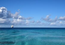 Ile waży Markiza tarasowa?