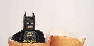 Czym żywi się zarodek? Czym żywi się zarodek?