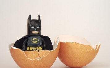 Czym żywi się zarodek?